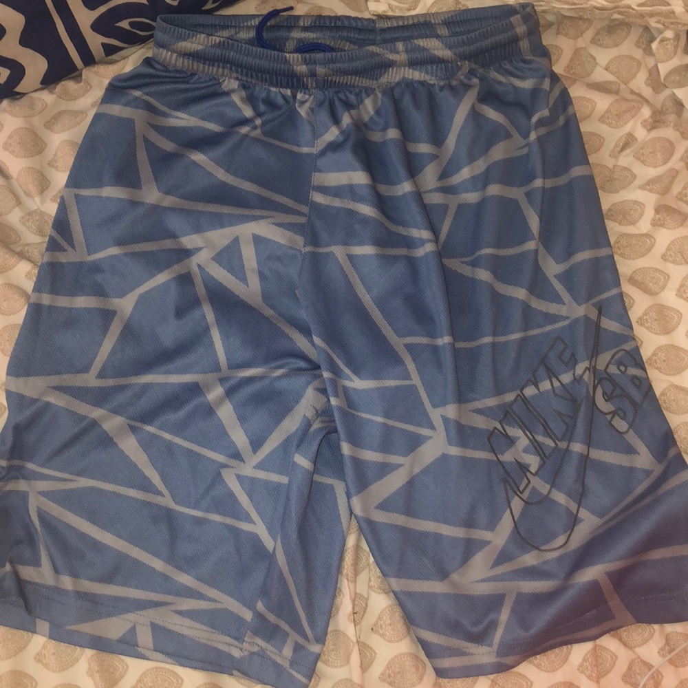 Nike SB shorts
